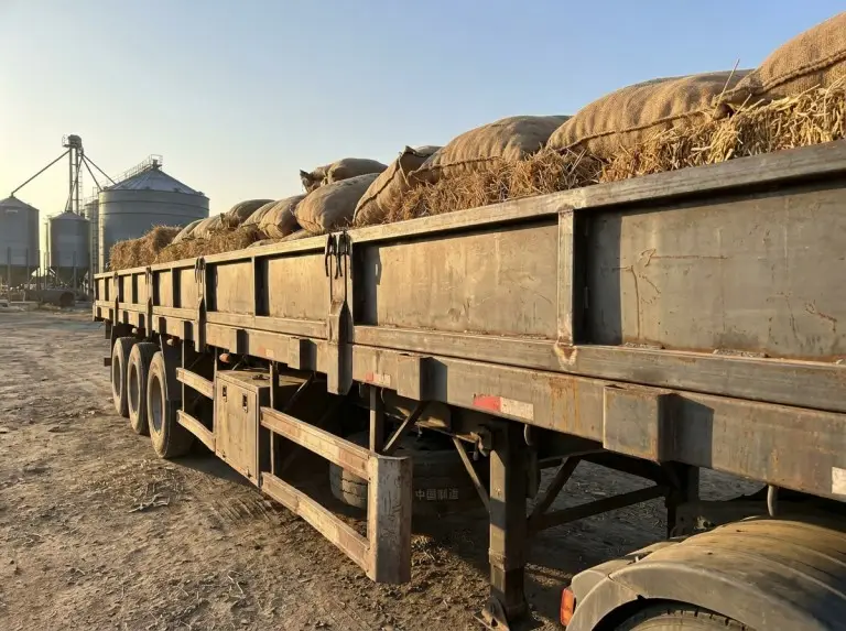 Fence semi-trailer with 800 mm side boards loaded with bulk agricultural cargo